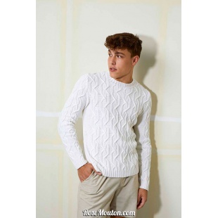 Modèle pullover homme 25 catalogue FAM 259 Lang Yarns