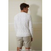 Modèle pullover homme 25 catalogue FAM 259 Lang Yarns
