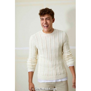 Modèle pullover homme 38 catalogue FAM 259 Lang Yarns
