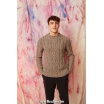 Modèle pullover homme 59 catalogue FAM 261 Lang Yarns