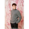 Modèle pullover homme 65 catalogue FAM 261 Lang Yarns