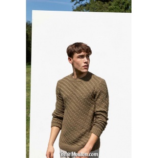 Modèle pullover homme 44 catalogue FAM 263 Lang Yarns